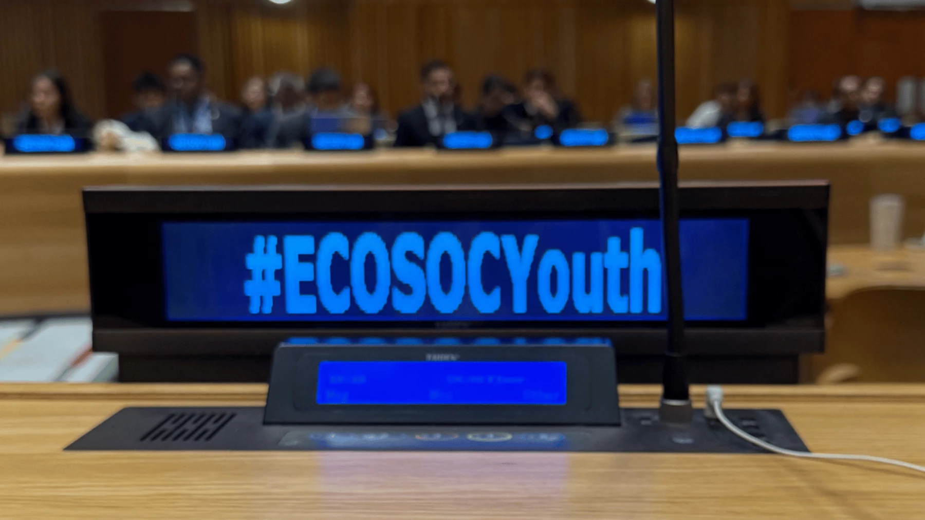 ecosoc youth screen