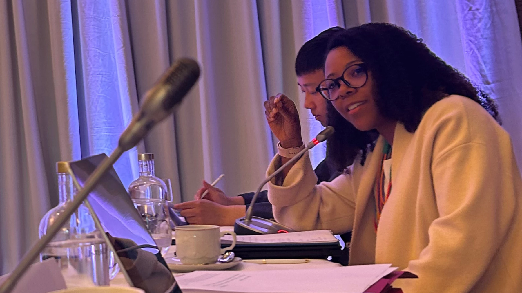 Dr. Talita Honorato-Rzeszewicz speaking at the 39th Annual Plenary Meeting of the InterAction Council in Dublin.